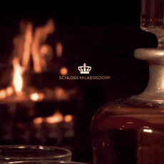 Zum Jahresauftakt in das Schloss Milkersdorf Zum Jahresauftakt in das Schloss Milkersdorf